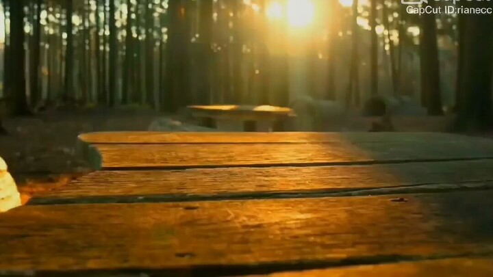 siapa nih yang ikut tenang kalau meliahat pememandangan yang hijau😊🌱🌲