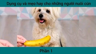 Dụng cụ và mẹo hay cho những người nuôi cún #1