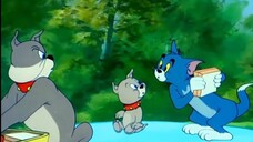 Tom and Jerry episode 91 - Pup on a Picnic (1955)