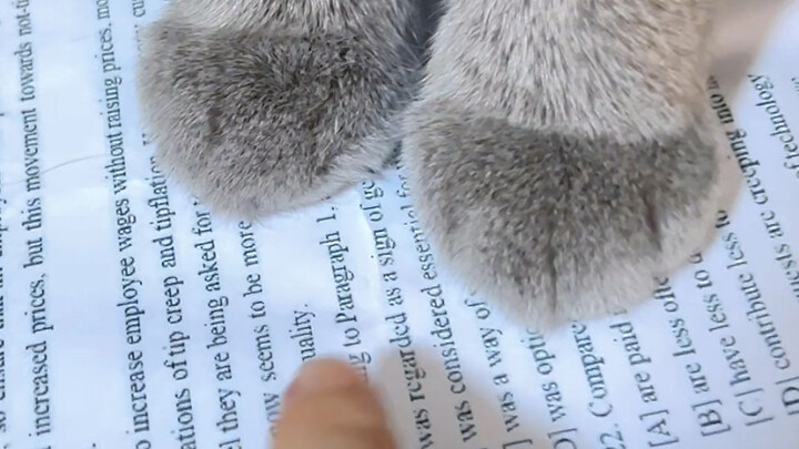 You’re not a Brit—hurry up and write!