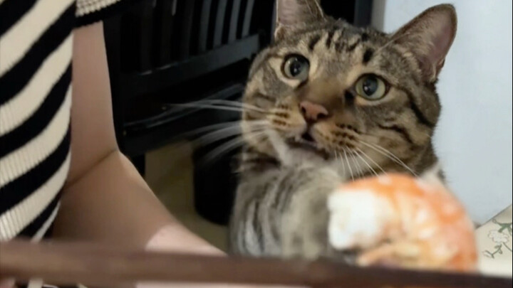 Mom, I want to eat this.