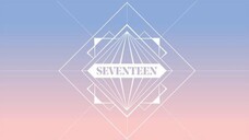 SEVENTEEN 2017 SEASON'S GREETINGS
