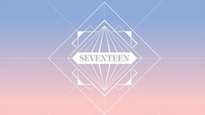 SEVENTEEN 2017 SEASON'S GREETINGS