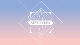SEVENTEEN 2017 SEASON'S GREETINGS