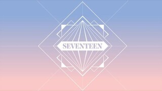 SEVENTEEN 2017 SEASON'S GREETINGS