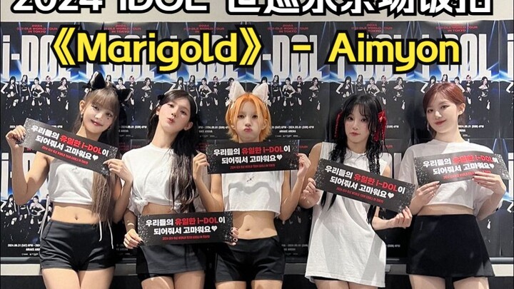 【(G)I-DLE】 ماريجولد - أيومون (ترجمة صينية)| تصوير المعجبين من حفل جولة "iDOL" العالمية 2024 في طوكيو