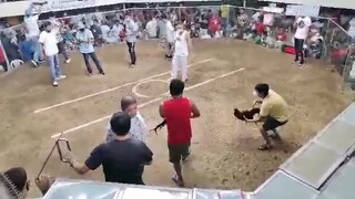 Panalo1