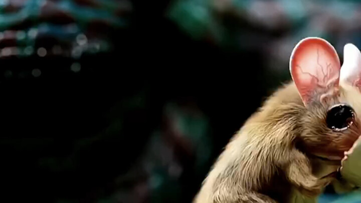 You won't see it unless you've got some artistic flair.