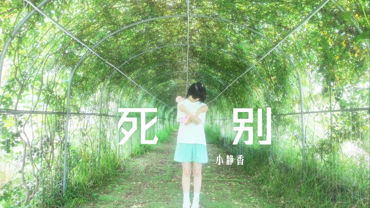 【Death × The Original Sin of Octopus Punch】It's really good that you passed away so early.