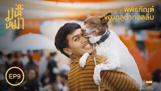 พิพิธภัณฑ์ของกลูต้ากอลลั่ม ( VLOG ) - มหึหมา EP9