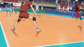 Born Brave Volly Ball