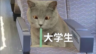 All sorts of people on the train before Spring Festival