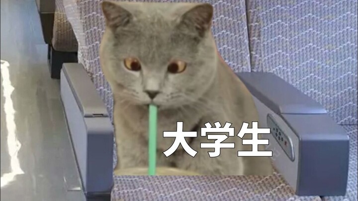 All sorts of people on the train before Spring Festival