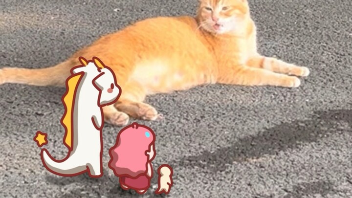 Aku! Ingin! Keluar! Bermain!!!