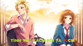 Tình yêu cách đôi ta 10cm | Tóm tắt anime | MOE ANIME