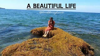 Beautiful Hymn Song- A Beautiful Life