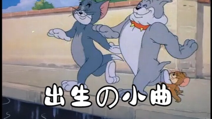 出生の小曲，但是猫和老鼠