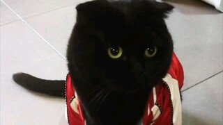 千岁岁剪指甲了！开心！