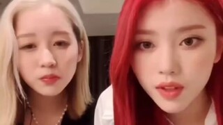 เสี่ยวถิง คุณสอนอะไรเสี่ยวกวงเหรอ ฮ่าฮ่า ทำไมตลกขนาดนี้