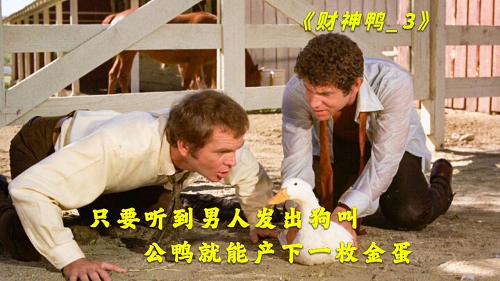 Asalkan bebek jantan mendengar suara anjing, ia bisa menghasilkan satu telur emas.