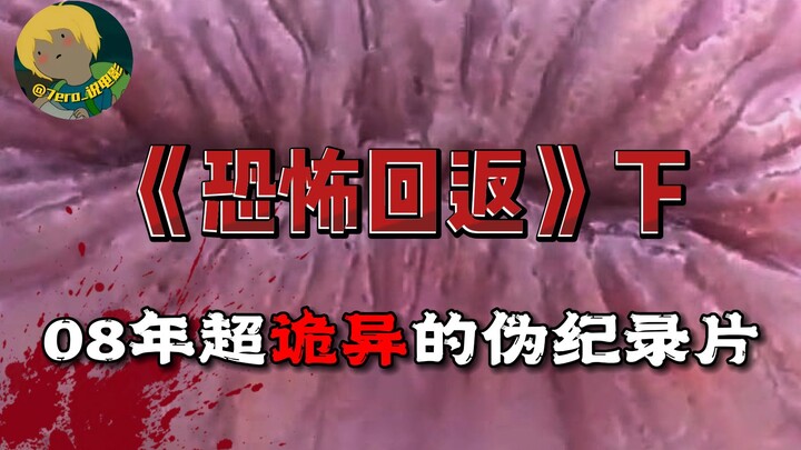 2008’s ultra-bizarre, mockumentary-style horror film “Terror Returns” – Part 2: The mysterious flesh