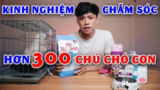 Chuẩn bị đồ và cách chăm sóc chó con Poodle Phốc sóc - Chia sẻ từ chủ trại chó cảnh