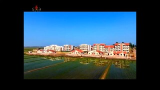Notícias do setor agrícola