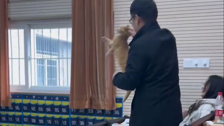 اتضح أن الزميل القط يخاف من المعلّم أيضًا!