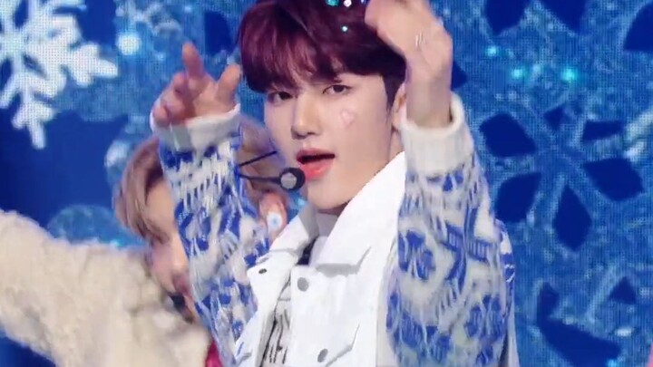 ZB1’s New Song “MELTING POINT” Performance Stage | 231124 Promotion Stage