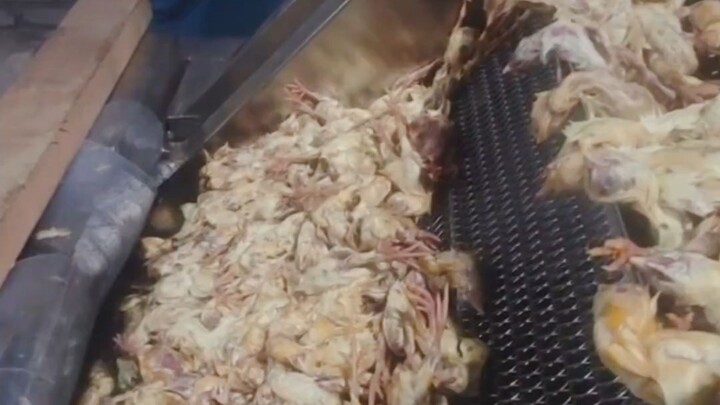 แล้วถ้าคนที่โดนไฟคลอกตายเป็นคุณล่ะ?