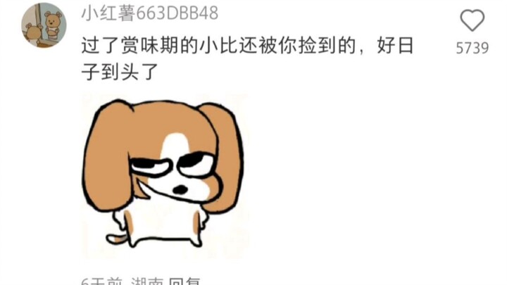 Chủ cũ: Hì hì, cuối cùng cũng được người khác nhặt mất rồi 🤣