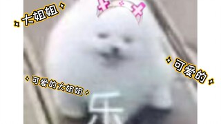 [مطبوخ] كينيا هانا فقدت نفسها في كلمات أختها الكبرى