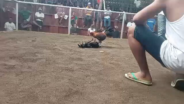 2hits ulotan sa abad first fyt lose