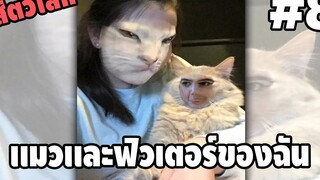 รวมคลิปตลกๆ : นี่สินะที่เค้าเรียกว่า…หน้าเเมว!!