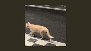 Rihanna- You Da One ~ sped up. mp4