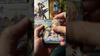 Finally Opening the Sword Art Online 10th Anniversary English Edition