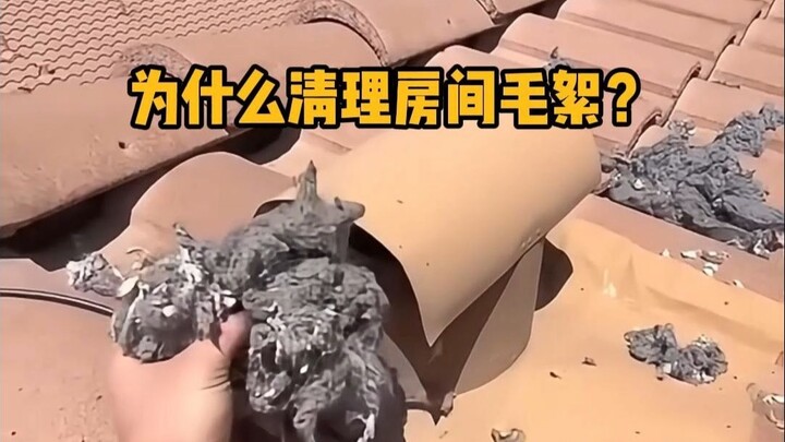 Why clean room fluff? #Science #StressRelief #Cleaning #LearnSomethingNew