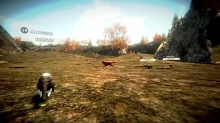 The Wolf Simulator - Online Real-Time Multiplayer RPG