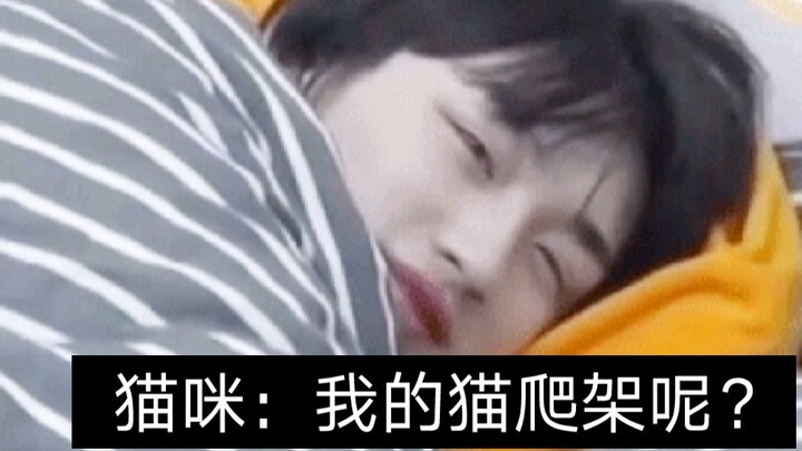 【Đinh Trình Tân】Mỗi người ở cạnh tôi mà tôi không chạm vào họ hai cái là tôi buồn lắm đấy, được khôn