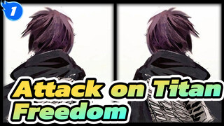 Attack on Titan|Is it really Freedom on the other side of the sea?_1