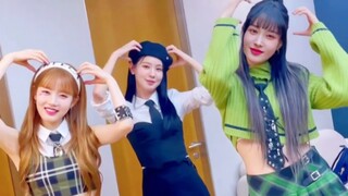 赵美延 x STAYC新歌teddy bear挑战！