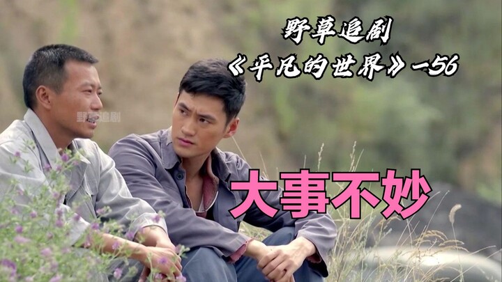 【野草】少平体检喝醋降血压，被师傅知道了！这下大事不妙