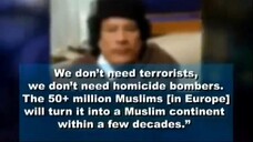 Brenton Tarrant edit 27