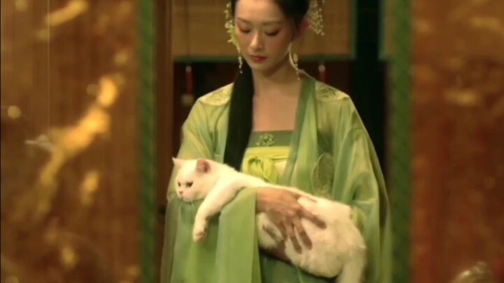 Did “Snow Eagle Lord” give the martial arts director’s meals to the cat? The cat even got so fat it 