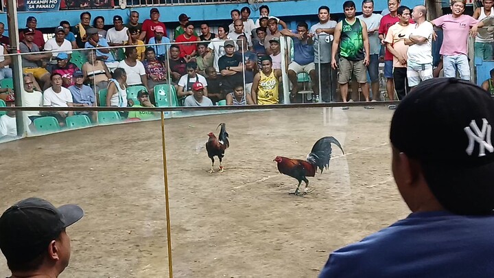 CDJ DABARKADS AT TALISAY SPORTS COMPLEX