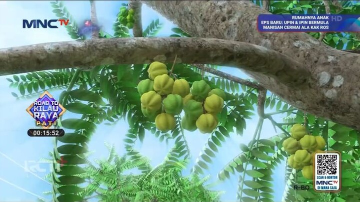 Upin & ipin terbaru manisan Ceremai ala kak Ros