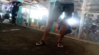 My utak mglaro