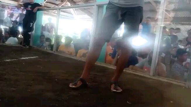 My utak mglaro