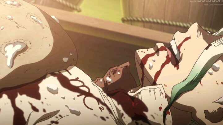 Akankah Senku Mampu bertahan?!!!!