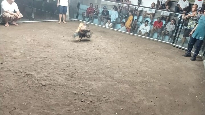 35k parada Bulusan cockpit